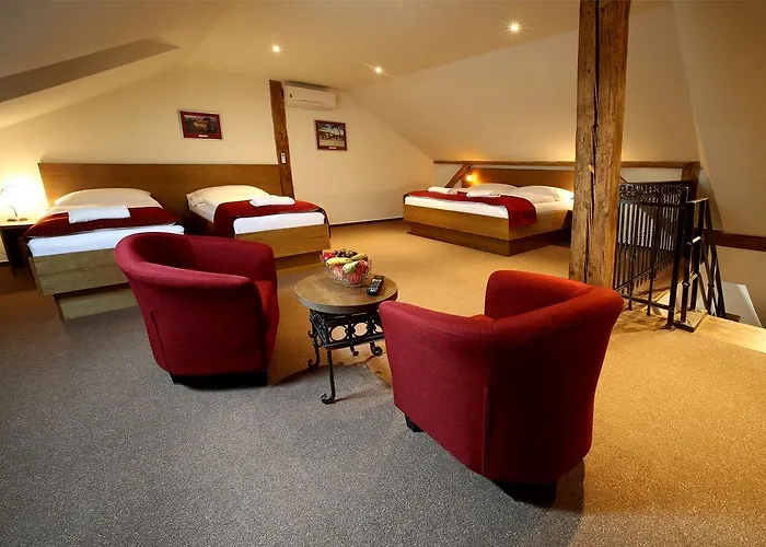 & Zluta Hruska アパート プルゼニ