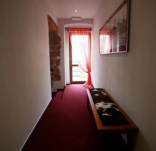 & Zluta Hruska פלזן